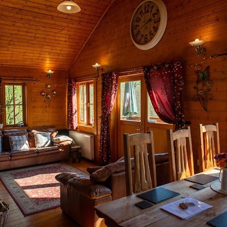 George Cabin - Log Cabin In Wales With Hot Tub Newtown  Exteriér fotografie
