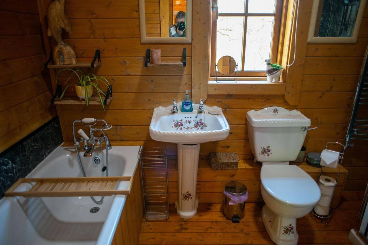 George Cabin - Log Cabin In Wales With Hot Tub Newtown  Exteriér fotografie