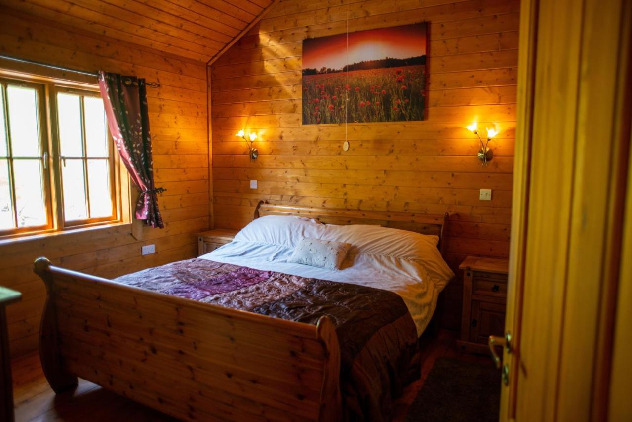 George Cabin - Log Cabin In Wales With Hot Tub Newtown  Exteriér fotografie