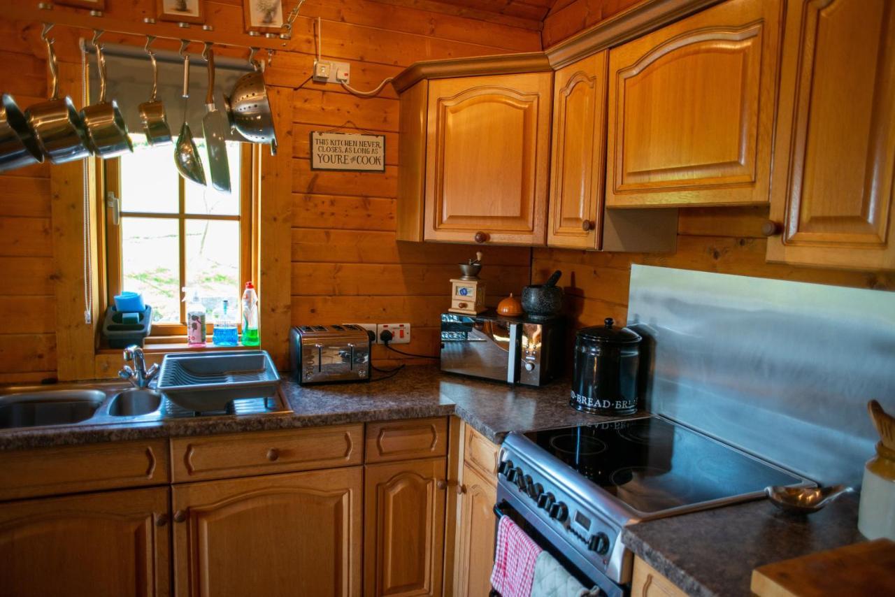 George Cabin - Log Cabin In Wales With Hot Tub Newtown  Exteriér fotografie
